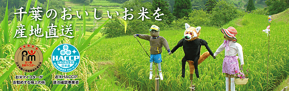 竹ノ内米店 千葉のおいしいお米を産地直送