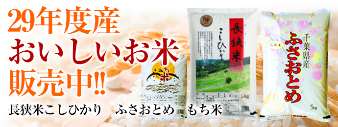 30年産通年用10キロなし